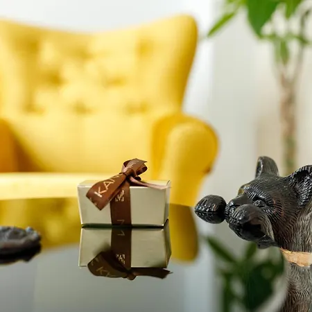 Kanopian Penthouse Apartment